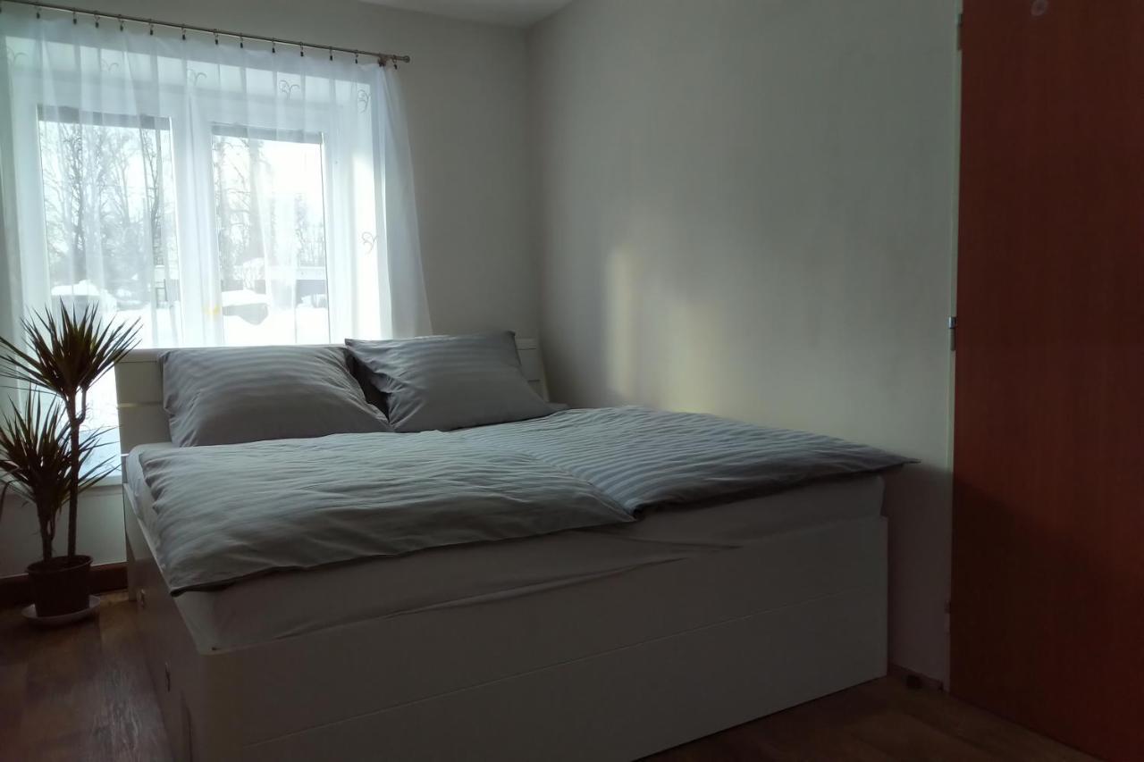 Appartement Apartman Pod Rickami à Rokytnice v Orlických Horách Extérieur photo